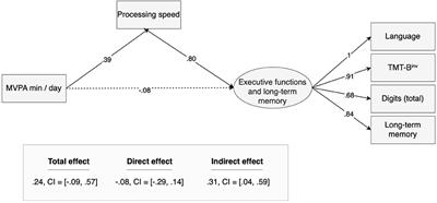 Processing speed mediates the association between physical activity and executive functioning in elderly adults